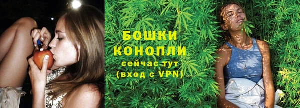 хмурый Богородицк